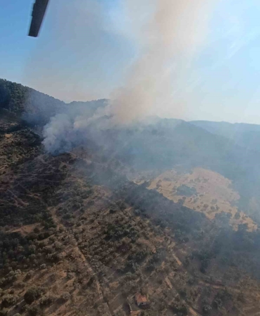 Ayvacık’ta orman yangın