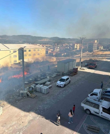 Ayvacık’ta otluk alanda çıkan yangın korkuttu
