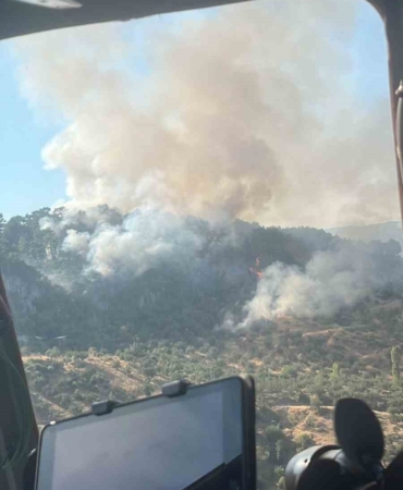 Ayvacık’taki orman yangını kontrol altına alındı