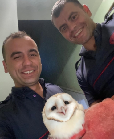 Balıkesir İtfaiyesi bacaya sıkışan baykuşu kurtardı