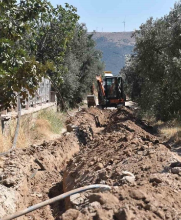 Balıkesir’de, 80 bin zeytin ağacı suyla buluştu