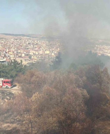 Balıkesir’in Çamlık mevkiinde çıkan arazi yangını söndürüldü