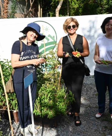 Beşiktaş’ta Konaklar Bostanı ilk mahsullerini vermeye başladı