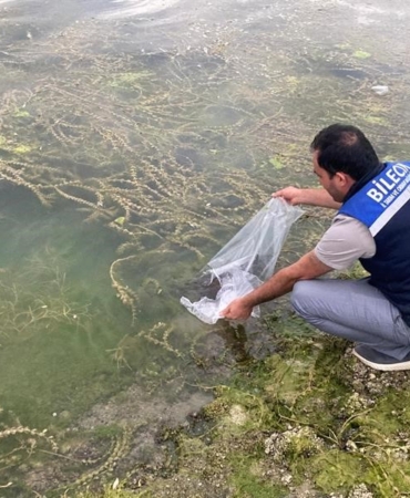 Bilecik’te 14 farklı göle 134 bin 500 adet sazan balığı yavrusu bırakıldı