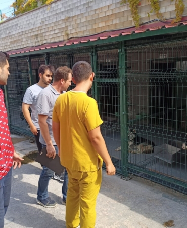 Bilecik’te hayvan barınaklarında denetimler yapıldı