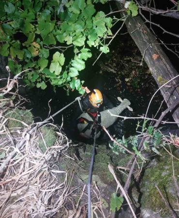 Bilecik’te su dolu çukura düşen koyun kurtarıldı