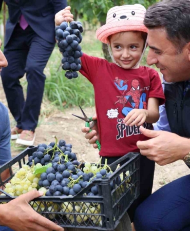 Bilecik’te üzüm hasadı başladı