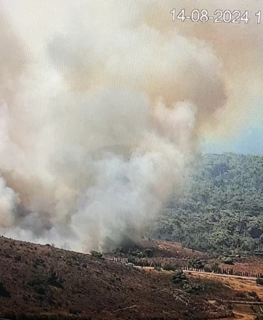 Bozcaada’da ziraat alanında yangın