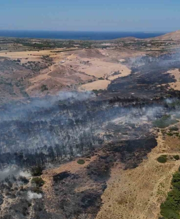 Bozcaada’daki orman yangını kontrol altına alındı