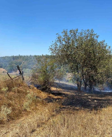 Bozüyük’te çıkan anız yangını büyümeden söndürüldü