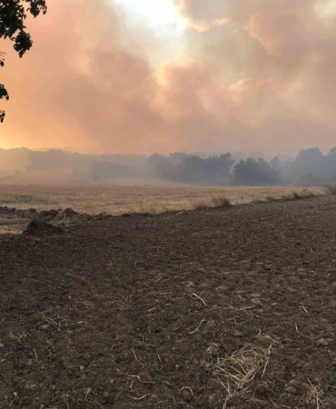 Bulgaristan sınırında çıkan yangın Edirne’nin köylerine ilerliyor