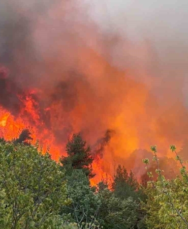 Bursa İznik’teki orman yangınında 30 hektar alan küle döndü