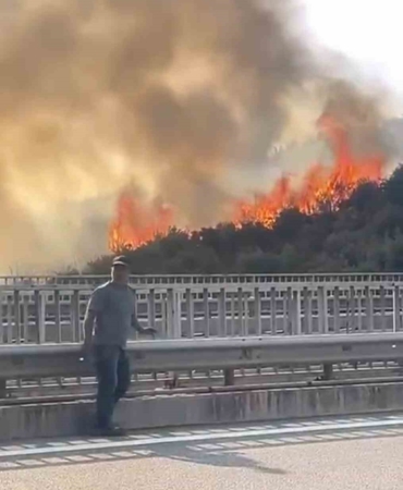 Bursa’da barakadan çıkan yangın zeytinlik alana sıçradı