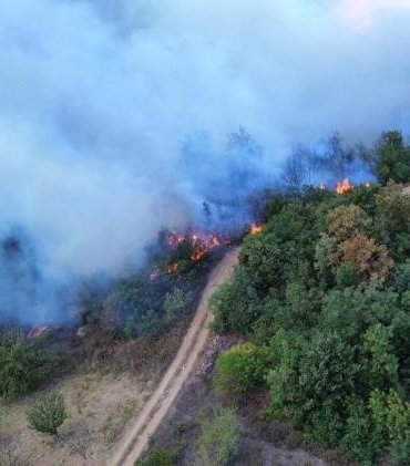 Bursa’da çıkan orman yangını 12 saat sonra kontrol altına alındı