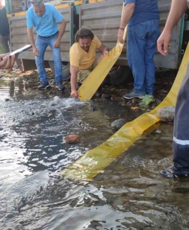 Bursa’da göl ve göletlere 3 milyon 350 bin yavru sazan bırakıldı