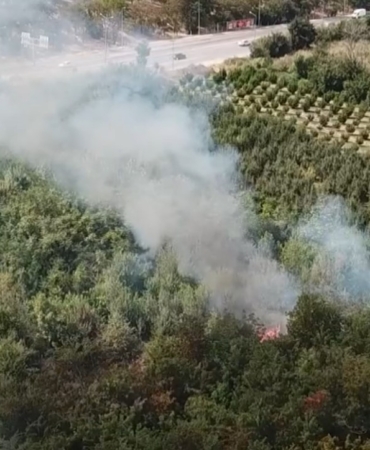 Bursa’da otluk alan alev alev yandı