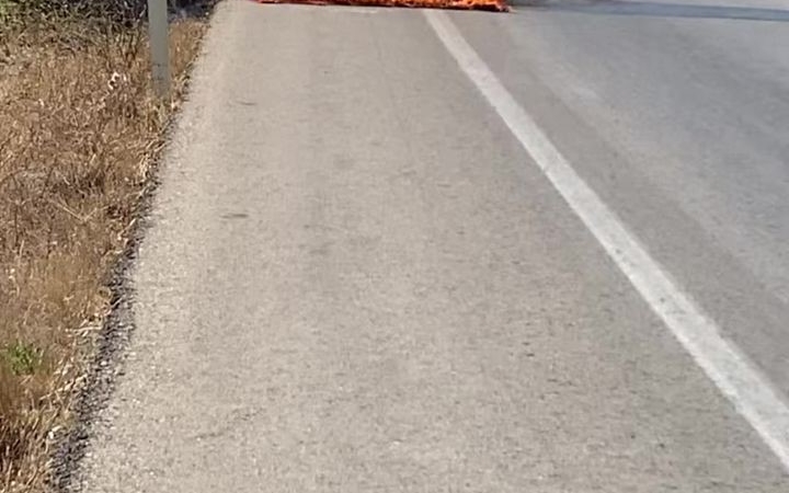 Bursa’da otomobil alevlere teslim oldu