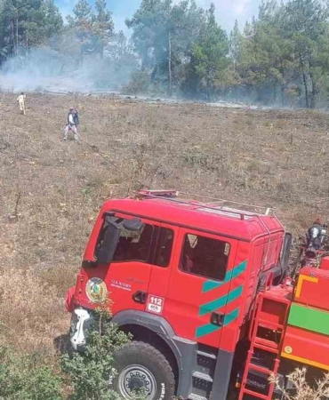 Bursa’da peş peşe çıkan yangınlar kontrol altına alındı