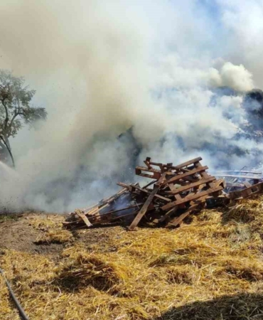 Bursa’da saman balyaları alevlere teslim oldu