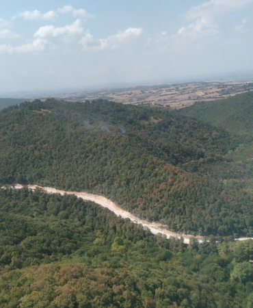 Bursa’da yıldırım düşmesi sonucu çıkan orman yangını söndürüldü
