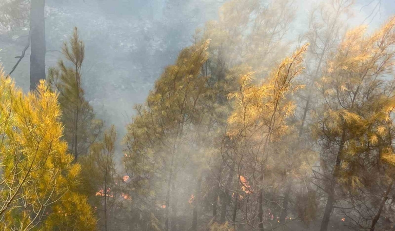 Bursa’daki orman yangını kontrol altına alındı