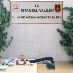 Çatalca’da jandarmanın baskın yaptığı evden 50 kök kenevir ele geçirildi