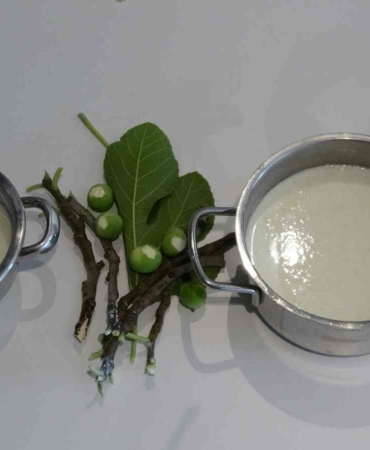 Çoban aşı ‘Teleme’nin tarifi Homeros’un 2 bin 750 yıllık İlyada Destanı’nda çıktı