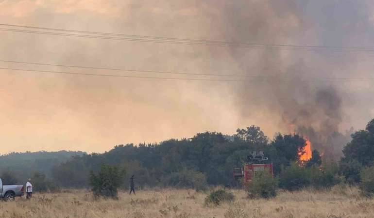 Edirne’de orman yangını anızlık alana sıçradı: 2 baraka zarar gördü