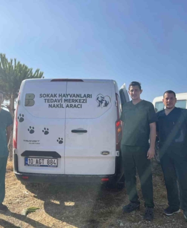 Erdek’teki yangında yaralanan hayvanlara anında müdahale