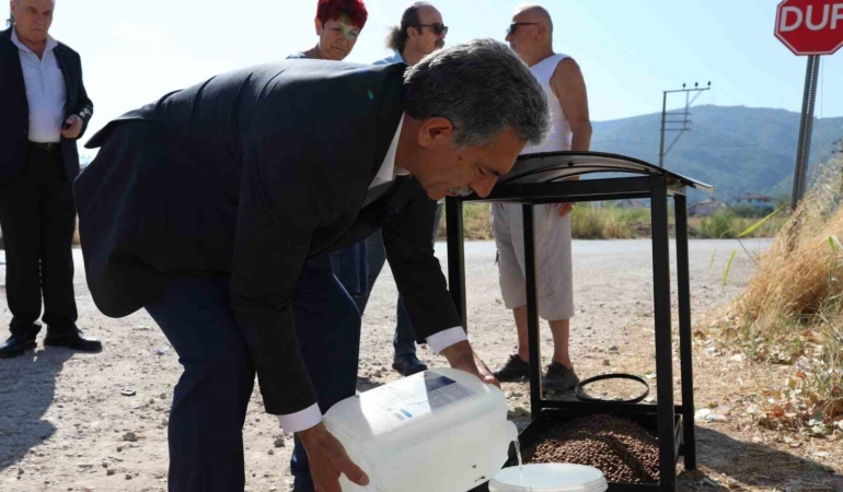 Gemlik Belediyesi’nde sokak hayvanları için seferberlik