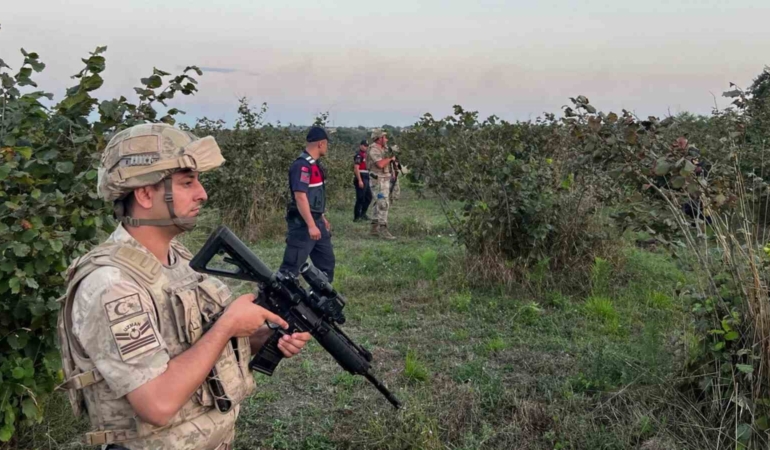 Hasat zamanı hırsızlara göz açtırılmıyor, komando birlikleri gece gündüz nöbet tutuyor