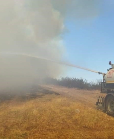 İpsala’daki orman yangında 200 dekarlık alan zarar gördü