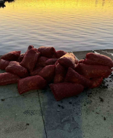 İstanbul Üsküdar’da 1 ton kaçak midye ele geçirildi