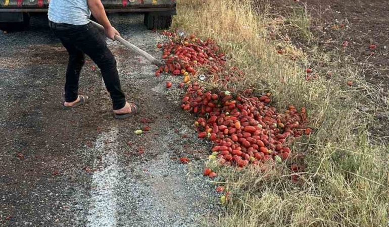 İzmir’deki yangını söndüren itfaiye erleri, Manisa’da yola saçılan domatesleri temizledi