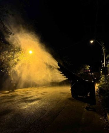 İznik Boyalıca sahilindeki ağaçlar ilaçlanıyor