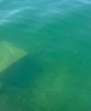 İznik Gölü’nde bulunan cisim merak konusu oldu