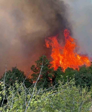 İznik’te çıkan orman yangınına 6 uçak ve 3 helikopter müdahale ediyor