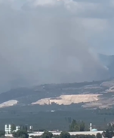 İznik’te korkutan orman yangını