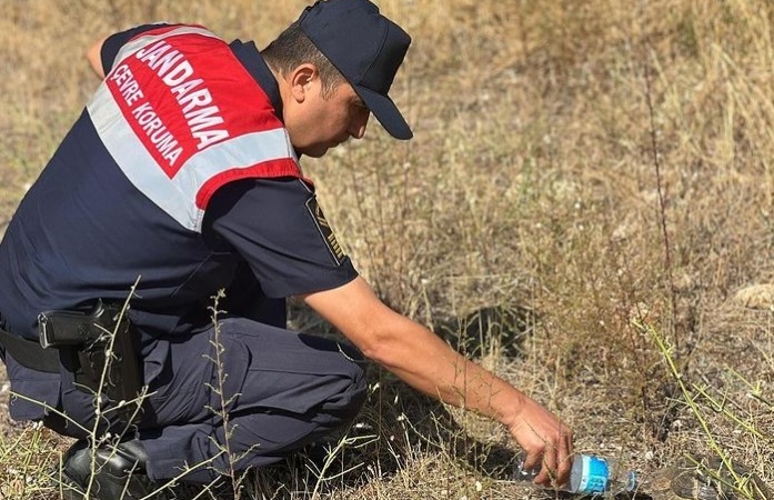 Jandarma ekipleri minik kaplumbağaya yardım etti