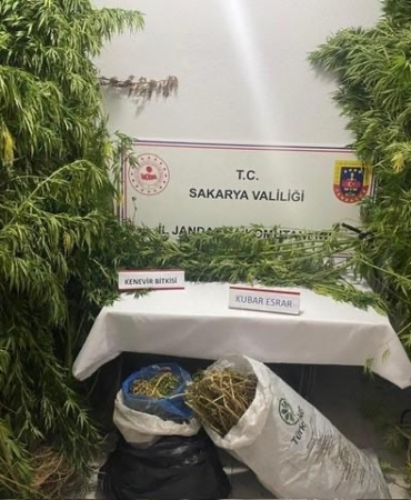 Jandarmadan uyuşturucuya geçit yok