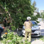 Kadıköy’de güneşten çürüyen ağaç otomobilin üzerine devrildi