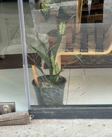 Kağıthane’de Filistinli iş adamına silahlı saldırı sonrası yaşanan hareketlilik cep telefonu kamerasına yansıdı