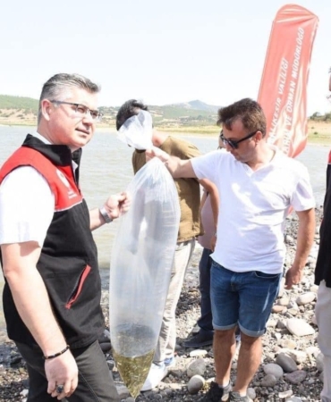 Kapıdağ’da bulunan gölete 50 bin sazan balığı salındı