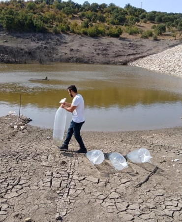 Kayalar göletine 50 sazan balığı yavrusu salındı