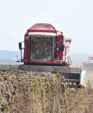 Keşan’da ayçiçeği hasadı başladı