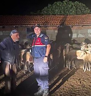 Kırklareli’nde kaybolan koyunlar bulundu