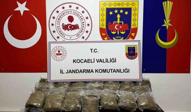 Kocaeli’de 2 araçta 23 kilo bonzai ele geçirildi