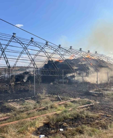 Koyun ağılı küle döndü