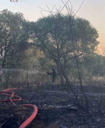 Mangaldan çıkan yangın 2 dönümlük alanı küle çevirdi