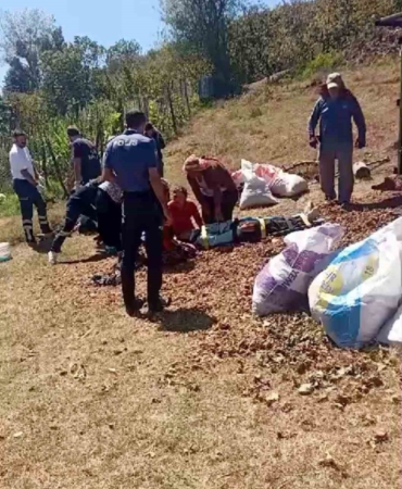 Mevsimlik tarım işçilerini taşıyan traktör devrildi: 13 yaralı